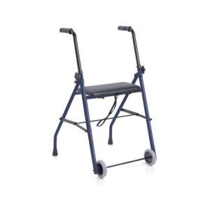 Deambulatore Rollator 2 ruote